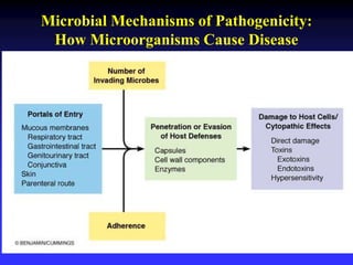 Microbial Mechanisms of Pathogenicity:
How Microorganisms Cause Disease
 