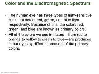 Color and the Electromagnetic Spectrum
• The human eye has three types of light-sensitive
cells that detect red, green, and blue light,
respectively. Because of this, the colors red,
green, and blue are known as primary colors.
• All of the colors we see in nature—from red to
orange to yellow to green to blue—are produced
in our eyes by different amounts of the primary
colors.
© 2014 Pearson Education, Inc.
 