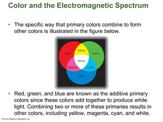 Color and the Electromagnetic Spectrum
• The specific way that primary colors combine to form
other colors is illustrated in the figure below.
• Red, green, and blue are known as the additive primary
colors since these colors add together to produce white
light. Combining two or more of these primaries results in
other colors, including yellow, magenta, cyan, and white.
© 2014 Pearson Education, Inc.
 