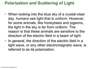 Polarization and Scattering of Light
• When looking into the blue sky of a crystal-clear
day, humans see light that is uniform. However,
for some animals, like honeybees and pigeons,
the light in the sky is far from uniform. The
reason is that these animals are sensitive to the
direction of the electric field in a beam of light.
• In general, the direction of the electric field in a
light wave, or any other electromagnetic wave, is
referred to as its polarization.
© 2014 Pearson Education, Inc.
 