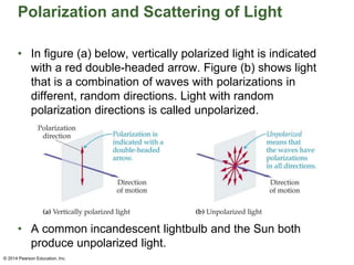 Polarization and Scattering of Light
• In figure (a) below, vertically polarized light is indicated
with a red double-headed arrow. Figure (b) shows light
that is a combination of waves with polarizations in
different, random directions. Light with random
polarization directions is called unpolarized.
• A common incandescent lightbulb and the Sun both
produce unpolarized light.
© 2014 Pearson Education, Inc.
 