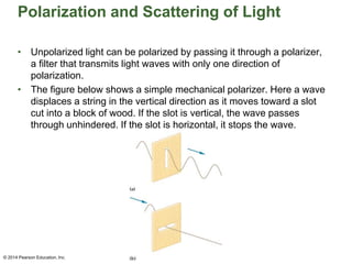 Polarization and Scattering of Light
• Unpolarized light can be polarized by passing it through a polarizer,
a filter that transmits light waves with only one direction of
polarization.
• The figure below shows a simple mechanical polarizer. Here a wave
displaces a string in the vertical direction as it moves toward a slot
cut into a block of wood. If the slot is vertical, the wave passes
through unhindered. If the slot is horizontal, it stops the wave.
© 2014 Pearson Education, Inc.
 