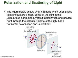 Polarization and Scattering of Light
• The figure below shows what happens when unpolarized
light encounters a filter. Some of the light in the
unpolarized beam has a vertical polarization and passes
right through the polarizer. Some of the light has a
horizontal polarization and is blocked.
© 2014 Pearson Education, Inc.
 