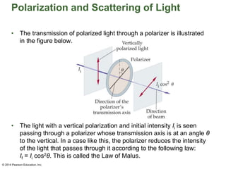 Polarization and Scattering of Light
• The transmission of polarized light through a polarizer is illustrated
in the figure below.
• The light with a vertical polarization and initial intensity Ii is seen
passing through a polarizer whose transmission axis is at an angle θ
to the vertical. In a case like this, the polarizer reduces the intensity
of the light that passes through it according to the following law:
If = Ii cos2θ. This is called the Law of Malus.
© 2014 Pearson Education, Inc.
 