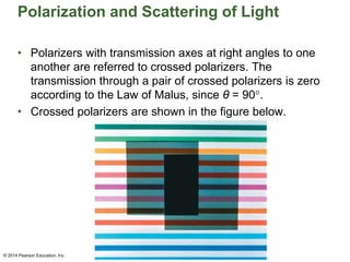 Polarization and Scattering of Light
• Polarizers with transmission axes at right angles to one
another are referred to crossed polarizers. The
transmission through a pair of crossed polarizers is zero
according to the Law of Malus, since θ = 90.
• Crossed polarizers are shown in the figure below.
© 2014 Pearson Education, Inc.
 