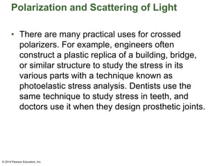 Polarization and Scattering of Light
• There are many practical uses for crossed
polarizers. For example, engineers often
construct a plastic replica of a building, bridge,
or similar structure to study the stress in its
various parts with a technique known as
photoelastic stress analysis. Dentists use the
same technique to study stress in teeth, and
doctors use it when they design prosthetic joints.
© 2014 Pearson Education, Inc.
 