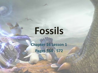 Fossils
Chapter 16 Lesson 1
Pages 564 - 572
 