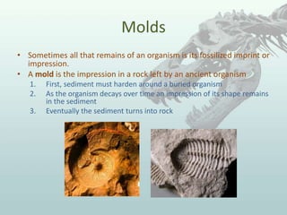 Molds
• Sometimes all that remains of an organism is its fossilized imprint or
impression.
• A mold is the impression in a rock left by an ancient organism
1. First, sediment must harden around a buried organism
2. As the organism decays over time an impression of its shape remains
in the sediment
3. Eventually the sediment turns into rock
 