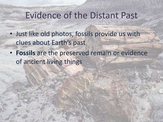 Evidence of the Distant Past
• Just like old photos, fossils provide us with
clues about Earth’s past
• Fossils are the preserved remain or evidence
of ancient living things
 