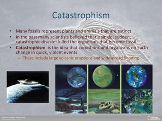 Catastrophism
• Many fossils represent plants and animals that are extinct
• In the past many scientists believed that a single, sudden,
catastrophic disaster killed the organisms that become fossil
• Catastrophism is the idea that conditions and organisms on Earth
change in quick, violent events
– These include large volcanic eruptions and widespread flooding
 