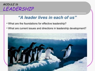 MODULE 16
LEADERSHIP
“A leader lives in each of us”
• What are the foundations for effective leadership?
• What are current issues and directions in leadership development?
 