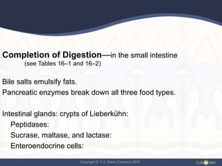 Copyright © F.A. Davis Company 2015
Completion of Digestion—in the small intestine
(see Tables 16–1 and 16–2)
Bile salts emulsify fats.
Pancreatic enzymes break down all three food types.
Intestinal glands: crypts of Lieberkühn:
Peptidases:
Sucrase, maltase, and lactase:
Enteroendocrine cells:
 
