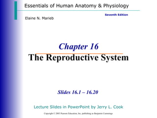 Chapter 16 The Reproductive System Essentials of Human Anatomy & Physiology Copyright © 2003 Pearson Education, Inc. publishing as Benjamin Cummings Slides 16.1 – 16.20 Seventh Edition Elaine N. Marieb Lecture Slides in PowerPoint by Jerry L. Cook 