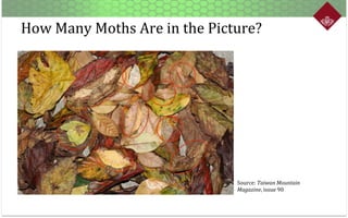 How	
  Many	
  Moths	
  Are	
  in	
  the	
  Picture?
Source:	
  Taiwan	
  Mountain	
  
Magazine,	
  issue	
  90	
  
 