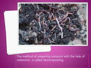 The method of preparing compost with the help of
redworms is called Vercomposting.
 