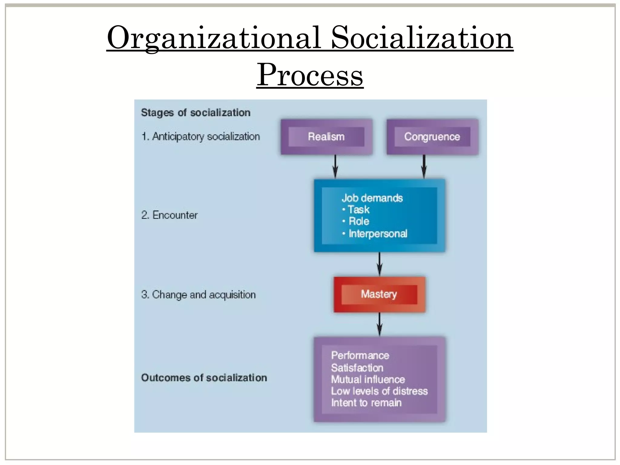 Organizational Socialization
Process
 