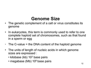 12
Genome Size
• The genetic complement of a cell or virus constitutes its
genome
• In eukaryotes, this term is commonly used to refer to one
complete haploid set of chromosomes, such as that found
in a sperm or egg
• The C-value = the DNA content of the haploid genome
• The units of length of nucleic acids in which genome
sizes are expressed :
• kilobase (kb) 103 base pairs
• megabase (Mb) 106 base pairs
 