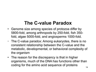 14
The C-value Paradox
• Genome size among species of protozoa differ by
5800-fold, among arthropods by 250-fold, fish 350-
fold, algae 5000-fold, and angiosperms 1000-fold.
• The C-value paradox: Among eukaryotes, there is no
consistent relationship between the C-value and the
metabolic, developmental, or behavioral complexity of
the organism
• The reason for the discrepancy is that in higher
organisms, much of the DNA has functions other than
coding for the amino acid sequence of proteins
 