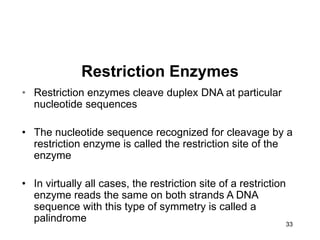 33
Restriction Enzymes
• Restriction enzymes cleave duplex DNA at particular
nucleotide sequences
• The nucleotide sequence recognized for cleavage by a
restriction enzyme is called the restriction site of the
enzyme
• In virtually all cases, the restriction site of a restriction
enzyme reads the same on both strands A DNA
sequence with this type of symmetry is called a
palindrome
 