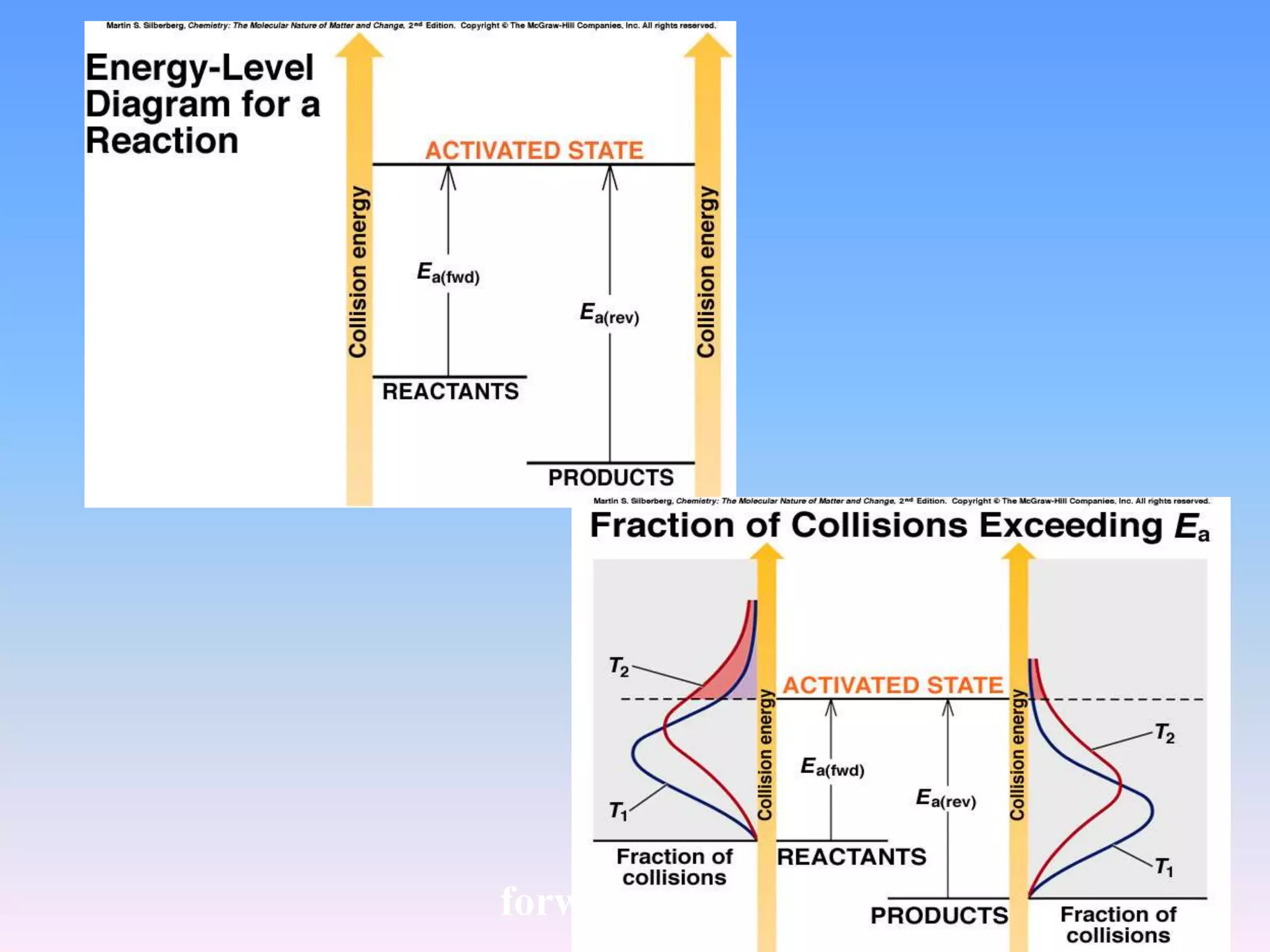 forward reaction reverse reaction 
 