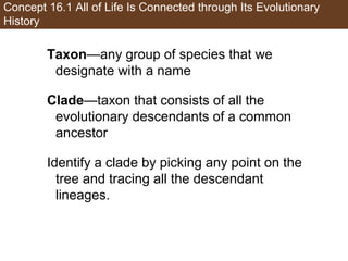 Concept 16.1 All of Life Is Connected through Its Evolutionary
History
Taxon—any group of species that we
designate with a name
Clade—taxon that consists of all the
evolutionary descendants of a common
ancestor
Identify a clade by picking any point on the
tree and tracing all the descendant
lineages.
 