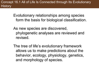 Concept 16.1 All of Life Is Connected through Its Evolutionary
History
Evolutionary relationships among species
form the basis for biological classification.
As new species are discovered,
phylogenetic analyses are reviewed and
revised.
The tree of life’s evolutionary framework
allows us to make predictions about the
behavior, ecology, physiology, genetics,
and morphology of species.
 