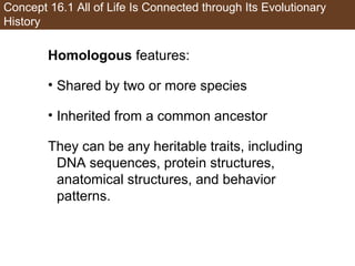 Concept 16.1 All of Life Is Connected through Its Evolutionary
History
Homologous features:
• Shared by two or more species
• Inherited from a common ancestor
They can be any heritable traits, including
DNA sequences, protein structures,
anatomical structures, and behavior
patterns.
 