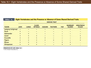 Table 16.1 Eight Vertebrates and the Presence or Absence of Some Shared Derived Traits
 