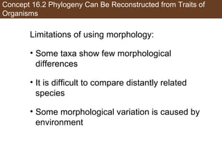 Concept 16.2 Phylogeny Can Be Reconstructed from Traits of
Organisms
Limitations of using morphology:
• Some taxa show few morphological
differences
• It is difficult to compare distantly related
species
• Some morphological variation is caused by
environment
 