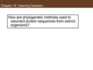 Chapter 16 Opening Question
How are phylogenetic methods used to
resurrect protein sequences from extinct
organisms?
 