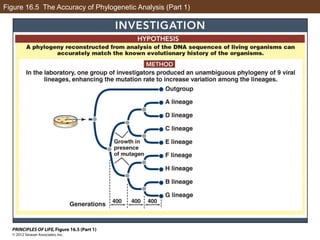 Figure 16.5 The Accuracy of Phylogenetic Analysis (Part 1)
 