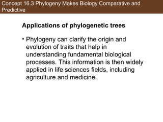 Concept 16.3 Phylogeny Makes Biology Comparative and
Predictive
Applications of phylogenetic trees
• Phylogeny can clarify the origin and
evolution of traits that help in
understanding fundamental biological
processes. This information is then widely
applied in life sciences fields, including
agriculture and medicine.
 