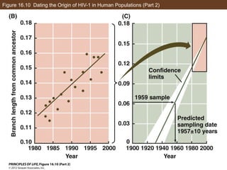 Figure 16.10 Dating the Origin of HIV-1 in Human Populations (Part 2)
 