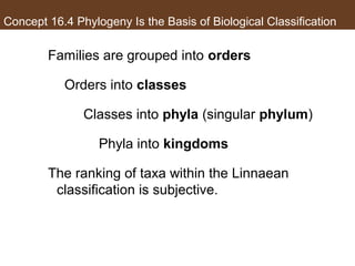 Concept 16.4 Phylogeny Is the Basis of Biological Classification
Families are grouped into orders
Orders into classes
Classes into phyla (singular phylum)
Phyla into kingdoms
The ranking of taxa within the Linnaean
classification is subjective.
 