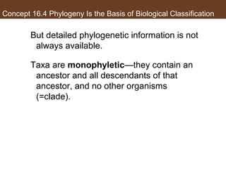 Concept 16.4 Phylogeny Is the Basis of Biological Classification
But detailed phylogenetic information is not
always available.
Taxa are monophyletic—they contain an
ancestor and all descendants of that
ancestor, and no other organisms
(=clade).
 