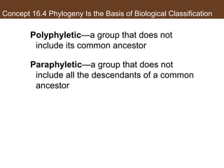 Concept 16.4 Phylogeny Is the Basis of Biological Classification
Polyphyletic—a group that does not
include its common ancestor
Paraphyletic—a group that does not
include all the descendants of a common
ancestor
 