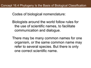 Concept 16.4 Phylogeny Is the Basis of Biological Classification
Codes of biological nomenclature:
Biologists around the world follow rules for
the use of scientific names, to facilitate
communication and dialogue.
There may be many common names for one
organism, or the same common name may
refer to several species. But there is only
one correct scientific name.
 
