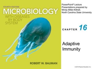 PowerPoint® Lecture
Presentations prepared by
Mindy Miller-Kittrell,
North Carolina State University
C H A P T E R
© 2015 Pearson Education, Inc.
Adaptive
Immunity
16
 