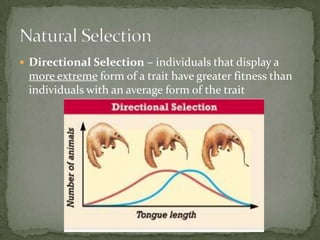 Ch 16 notes | PPT