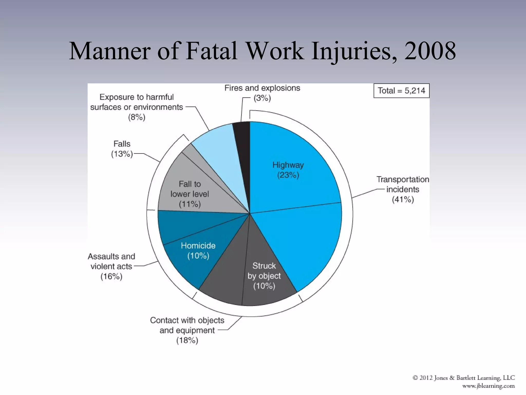 Manner of Fatal Work Injuries, 2008
 