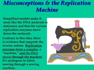Misconceptions & the Replication
Machine
Simplified models make it
seem like the DNA molecule is
stationary and that the various
replication enzymes move
down the molecule.
Contrary to this idea, there
is evidence that supports the
reverse notion: Replication
enzymes form a complex, a
“machine,” and the DNA
moves through the machine.
It’s analogous to fabric
moving through a sewing
machine.

 