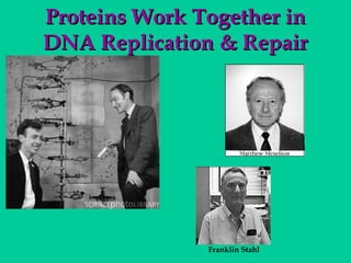Proteins Work Together in
DNA Replication & Repair

Franklin Stahl

 