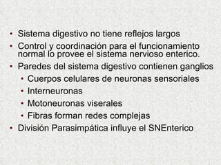 Sistema digestivo no tiene reflejos largos Control y coordinación para el funcionamiento normal lo provee el sistema nervioso enterico. Paredes del sistema digestivo contienen ganglios  Cuerpos celulares de neuronas sensoriales Interneuronas Motoneuronas viserales Fibras forman redes complejas División Parasimpática influye el SNEnterico 