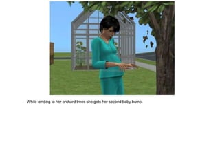 While tending to her orchard trees she gets her second baby bump.
 