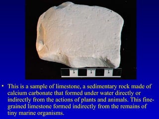 • This is a sample of limestone, a sedimentary rock made of
calcium carbonate that formed under water directly or
indirectly from the actions of plants and animals. This fine-
grained limestone formed indirectly from the remains of
tiny marine organisms.
 