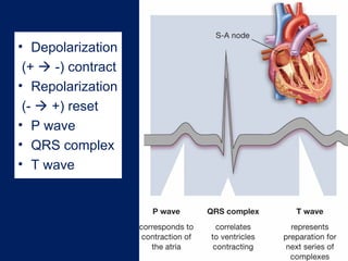Ch 17 Cardiovascular Emergencies (1).ppt