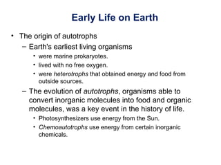 Early Life on Earth
• The origin of autotrophs
– Earth's earliest living organisms
• were marine prokaryotes.
• lived with no free oxygen.
• were heterotrophs that obtained energy and food from
outside sources.
– The evolution of autotrophs, organisms able to
convert inorganic molecules into food and organic
molecules, was a key event in the history of life.
• Photosynthesizers use energy from the Sun.
• Chemoautotrophs use energy from certain inorganic
chemicals.
 
