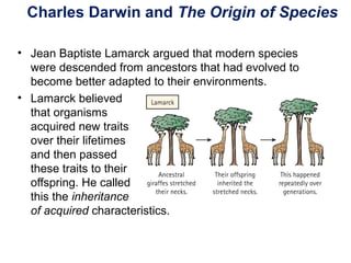 Charles Darwin and The Origin of Species
• Jean Baptiste Lamarck argued that modern species
were descended from ancestors that had evolved to
become better adapted to their environments.
• Lamarck believed
that organisms
acquired new traits
over their lifetimes
and then passed
these traits to their
offspring. He called
this the inheritance
of acquired characteristics.
 