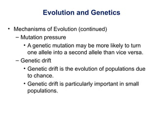 Evolution and Genetics
• Mechanisms of Evolution (continued)
– Mutation pressure
• A genetic mutation may be more likely to turn
one allele into a second allele than vice versa.
– Genetic drift
• Genetic drift is the evolution of populations due
to chance.
• Genetic drift is particularly important in small
populations.
 
