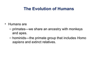 The Evolution of Humans
• Humans are
– primates—we share an ancestry with monkeys
and apes.
– hominids—the primate group that includes Homo
sapiens and extinct relatives.
 
